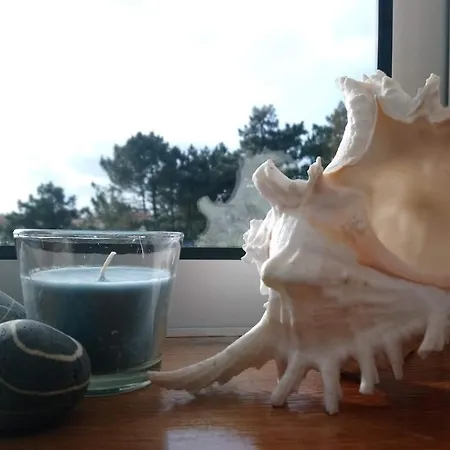 House - Between Porto And Viana Do Castelo Esposende