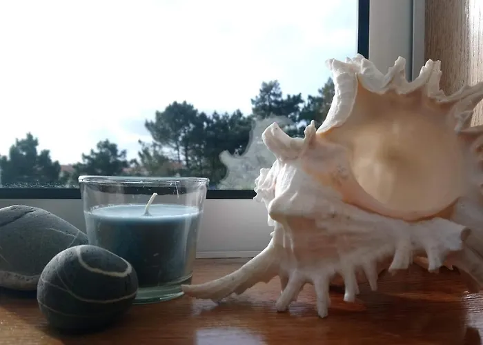 House - Between Porto And Viana Do Castelo Esposende