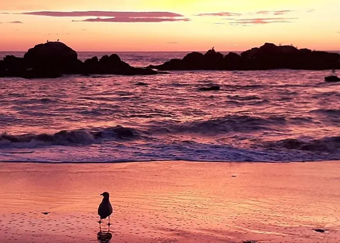 Semesterbostad House - Between Porto And Viana Do Castelo Esposende