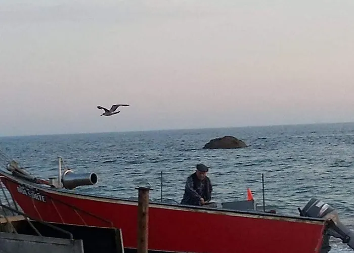 House - Between Porto And Viana Do Castelo * Esposende