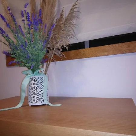 House - Between Porto And Viana Do Castelo Holiday home