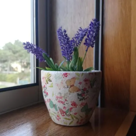 House - Between Porto And Viana Do Castelo *