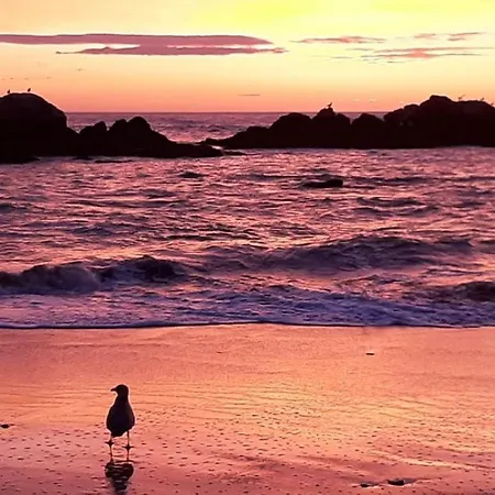 Holiday home House - Between Porto And Viana Do Castelo Esposende