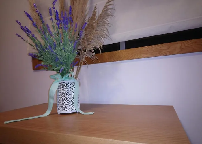 House - Between Porto And Viana Do Castelo Nyaraló