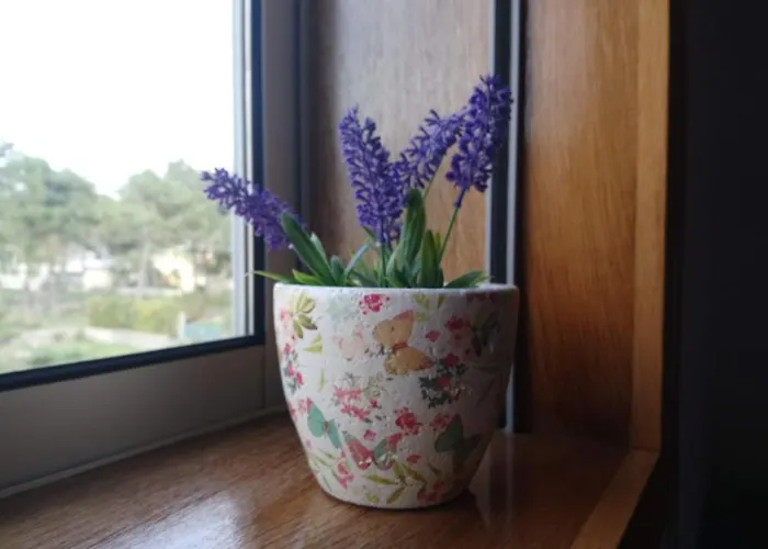 House - Between Porto And Viana Do Castelo *